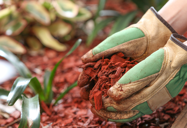 People Mulch Blog Image